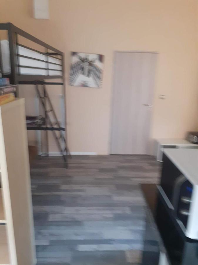 Studio 2 Ou 3 Places Apartment Verdun-sur-le-Doubs ภายนอก รูปภาพ